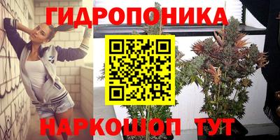 дмт Кунгур