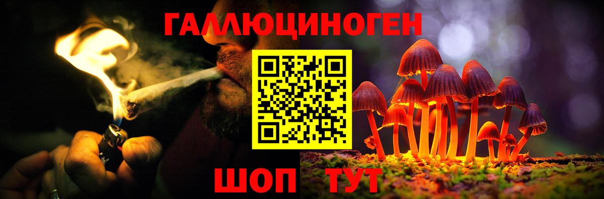 закладки  Псилоцибиновые грибы ЛСД  Вход с VPN  Псилоцибиновые грибы Psilocybine cubensis  Ессентуки 